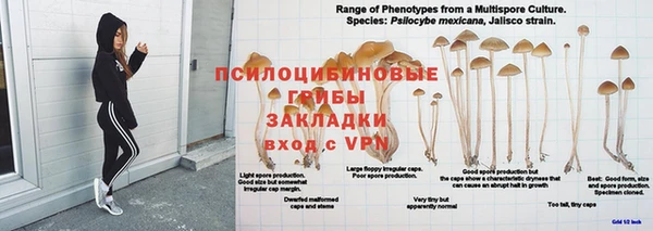 мяу мяу мука Богданович