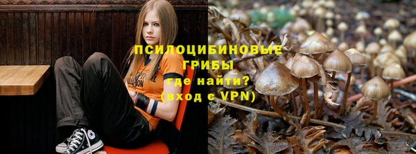 твердый Богородск