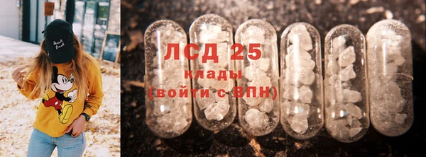 стаф Богородицк