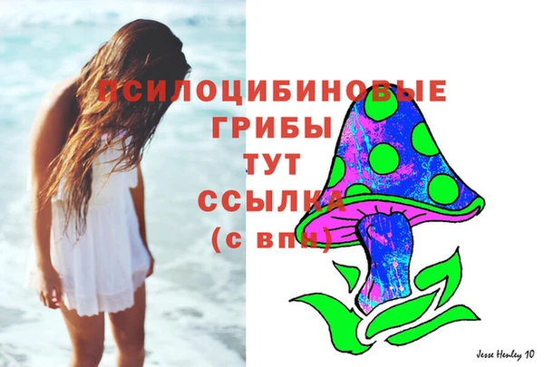 мяу мяу мука Богданович