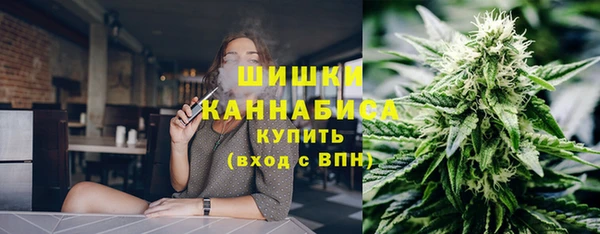 твердый Богородск