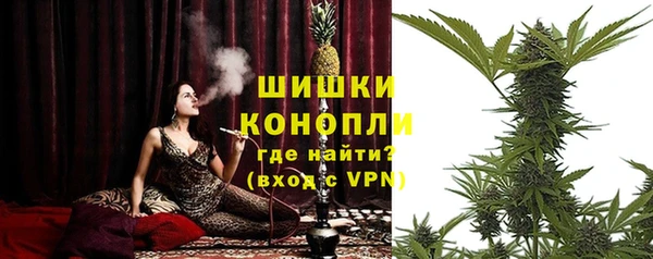 твердый Богородск