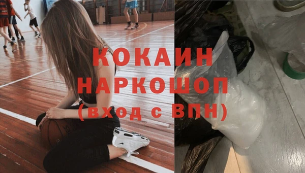 стаф Богородицк